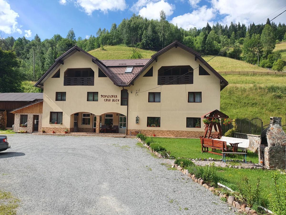Pensiune Agroturistica Casa Alex Baba Экстерьер фото