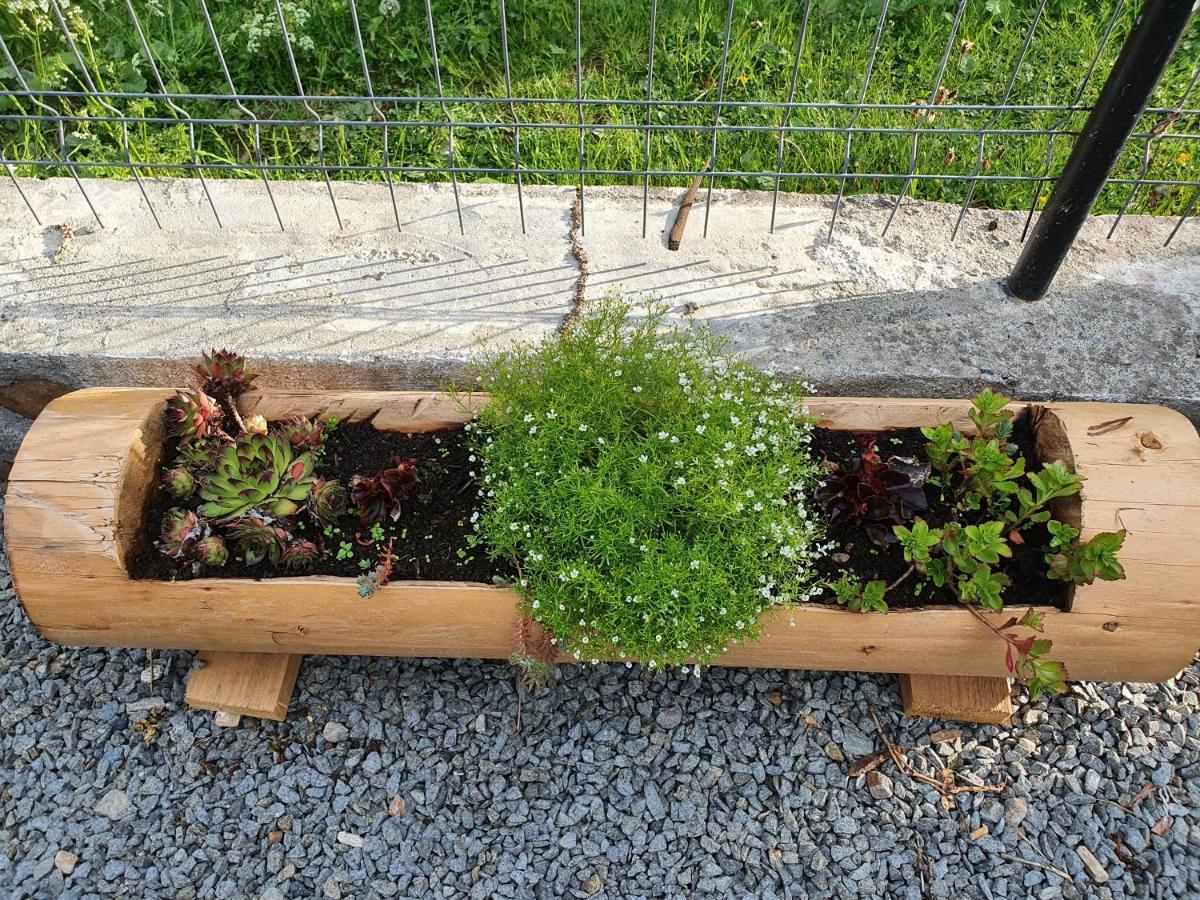 Pensiune Agroturistica Casa Alex Baba Экстерьер фото