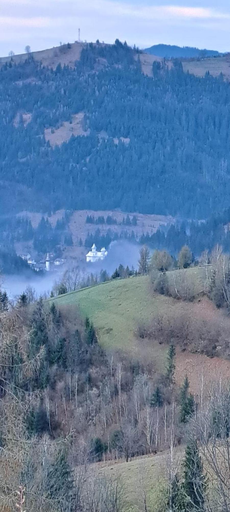 Pensiune Agroturistica Casa Alex Baba Экстерьер фото